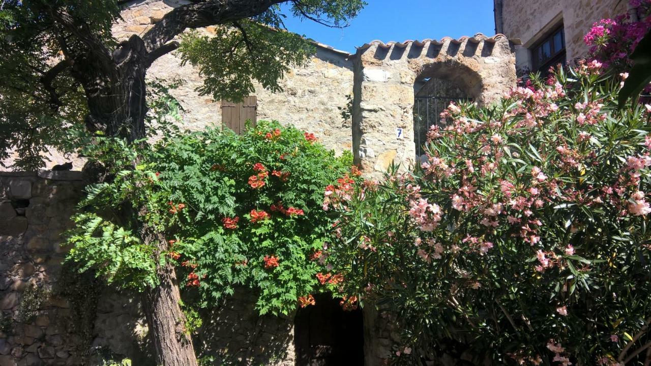 Les Studios De St Guilhem Saint-Guilhem-le-Desert Exterior foto