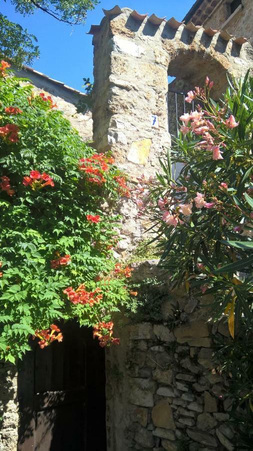 Les Studios De St Guilhem Saint-Guilhem-le-Desert Exterior foto