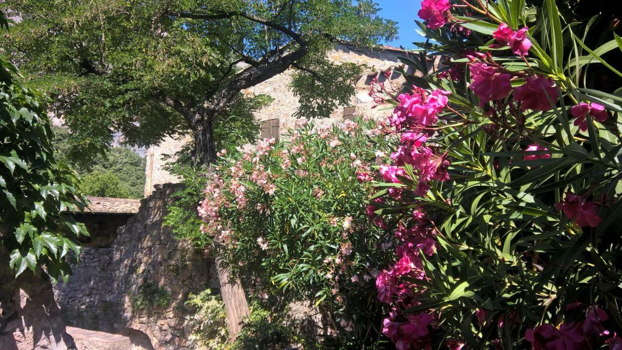 Les Studios De St Guilhem Saint-Guilhem-le-Desert Exterior foto